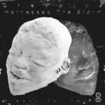 TRESOR181LPX-FRONTCOVER Harnessed The Storm (2025)