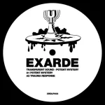 165391-XRDLP008 - FRONTCOVER Potent Mystery (Incl. Acidulant & Ben Pest Remixes)