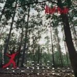 165418-STWAX007 - FRONTCOVER Everything Else Is Fine