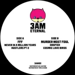3AM05-FRONTCOVER Like Never Before