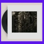 DREA005-FRONTCOVER Icosahedrone