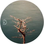 DREFLTD003-FRONTCOVER Iles (Smokey Vinyl / Incl. Dl Code)