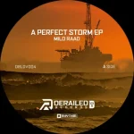 DRLDV004-FRONTCOVER A Perfect Storm Ep