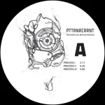 EFR009-FRONTCOVER The Perpetual Motion Process