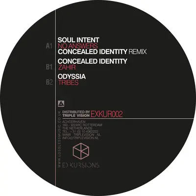 No Answers (Concealed Identity Remix)