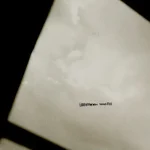 FB004-FRONTCOVER Venus Flux