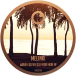 Where Do We Go From Here Ep (Label Sleeve)