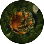 FSR003-FRONTCOVER Vivendum 2 (Orange Marbled Vinyl)