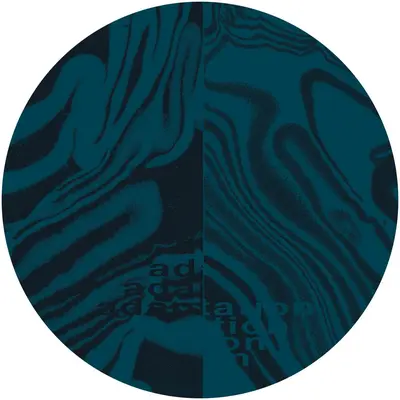 Adaptation (Vinyl Only)