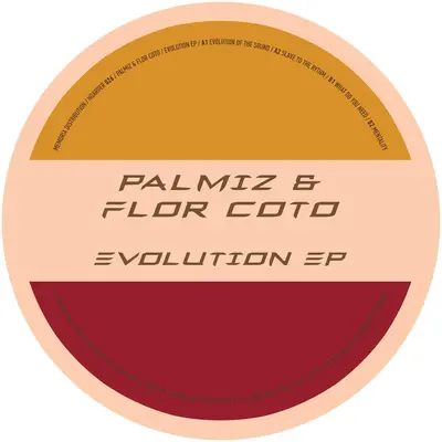 Evolution Ep (Vinyl Only)