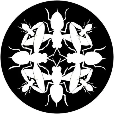 HVNBLK002_-FRONTCOVER