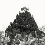 INT088LP-FRONTCOVER Winterswell