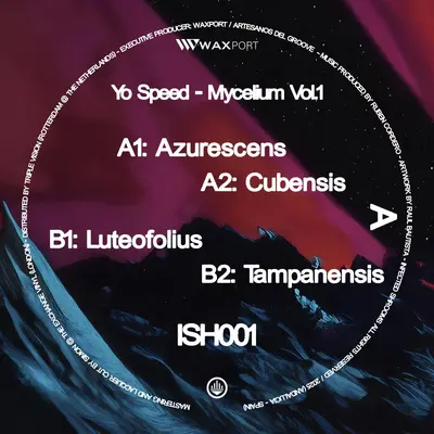 Mycelium Vol.1