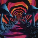ISH001-FRONTCOVER Mycelium Vol.1