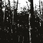 KONTRAFAKTUM008-FRONTCOVER Cosmic Cycles