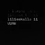 LILIESKALLA2-FRONTCOVER Lilieskalla2