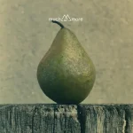 5.A. 002 - Pear