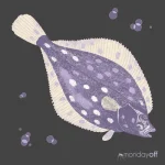 MOFF014-FRONTCOVER Various Artists Vol. 6
