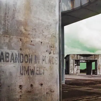 NF20-FRONTCOVER Abandon In Place