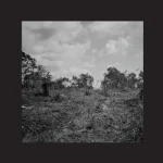NORD005 Compact Visual Nature