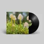 NZA001-FRONTCOVER Slowing