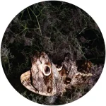 OBQ003RP-FRONTCOVER Kairuku Ep