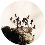 OBQ004RP-FRONTCOVER Transcended Being Ep