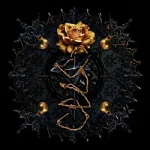 OPR004-FRONTCOVER Love War