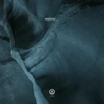 OUT029-FRONTCOVER Regeneration