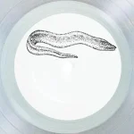 PALINGLTD004-FRONTCOVER The Fishermen You'Ll Never See Vol. 2
