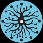Sense Data