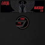 2.0 (Grey Marbled Vinyl / Stickered Sleeve / Inc. Dl Code)