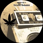 RASTA012VR-FRONTCOVER Burn Them