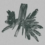 RDTRX002-FRONTCOVER Thorned Ep