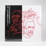 RED074-DFLP002-FRONTCOVER De Rode Draad