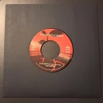 RF1297-FRONTCOVER Dangerous Situation