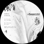 RSI013-FRONTCOVER Divulge Ep