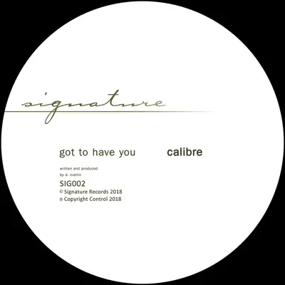 Makes Me Wonder / Got To Have You