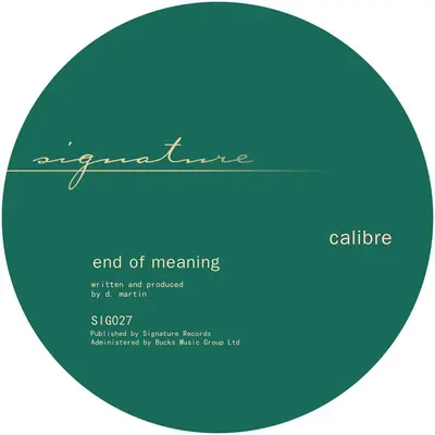 Falls To You Vip / End Of Meaning