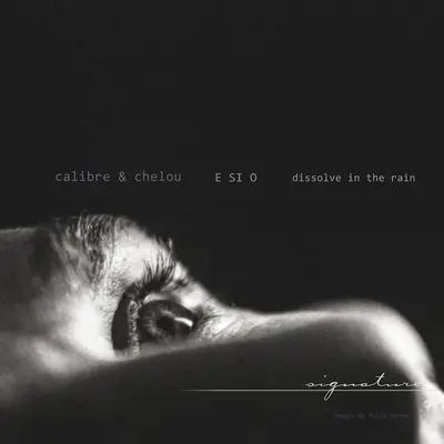 Dissolve In The Rain