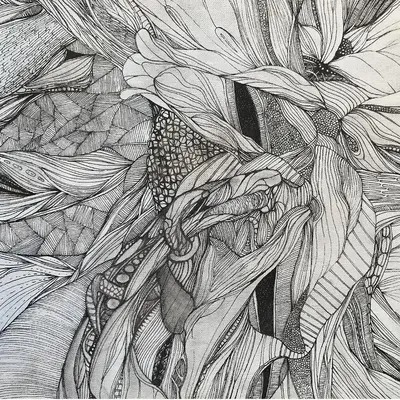 SIGCD017-FRONTCOVER Shelflife Seven