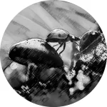 Biorhythm - Vinyl Only