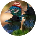 Bird Gang