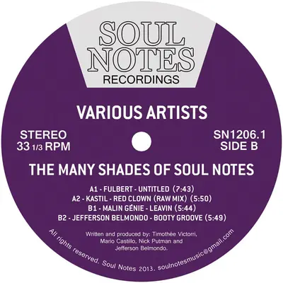 Many Shades Of Sn Vol. 1 (180 Grams)