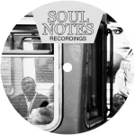 Many Shades Of Sn Vol. 1 (180 Grams)
