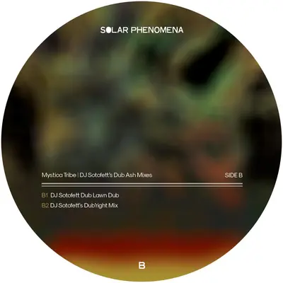 Dj Sotofett'S Dub Ash Mixes