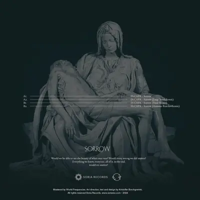 Sorrow & Remixes (180 Grams Vinyl /)