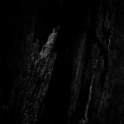 SUB01-FRONTCOVER Split Identities