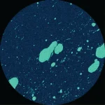 SUBL029-FRONTCOVER Equals