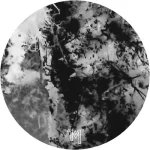 TELEMORPH004AB-FRONTCOVER Taciturn Manner Lp